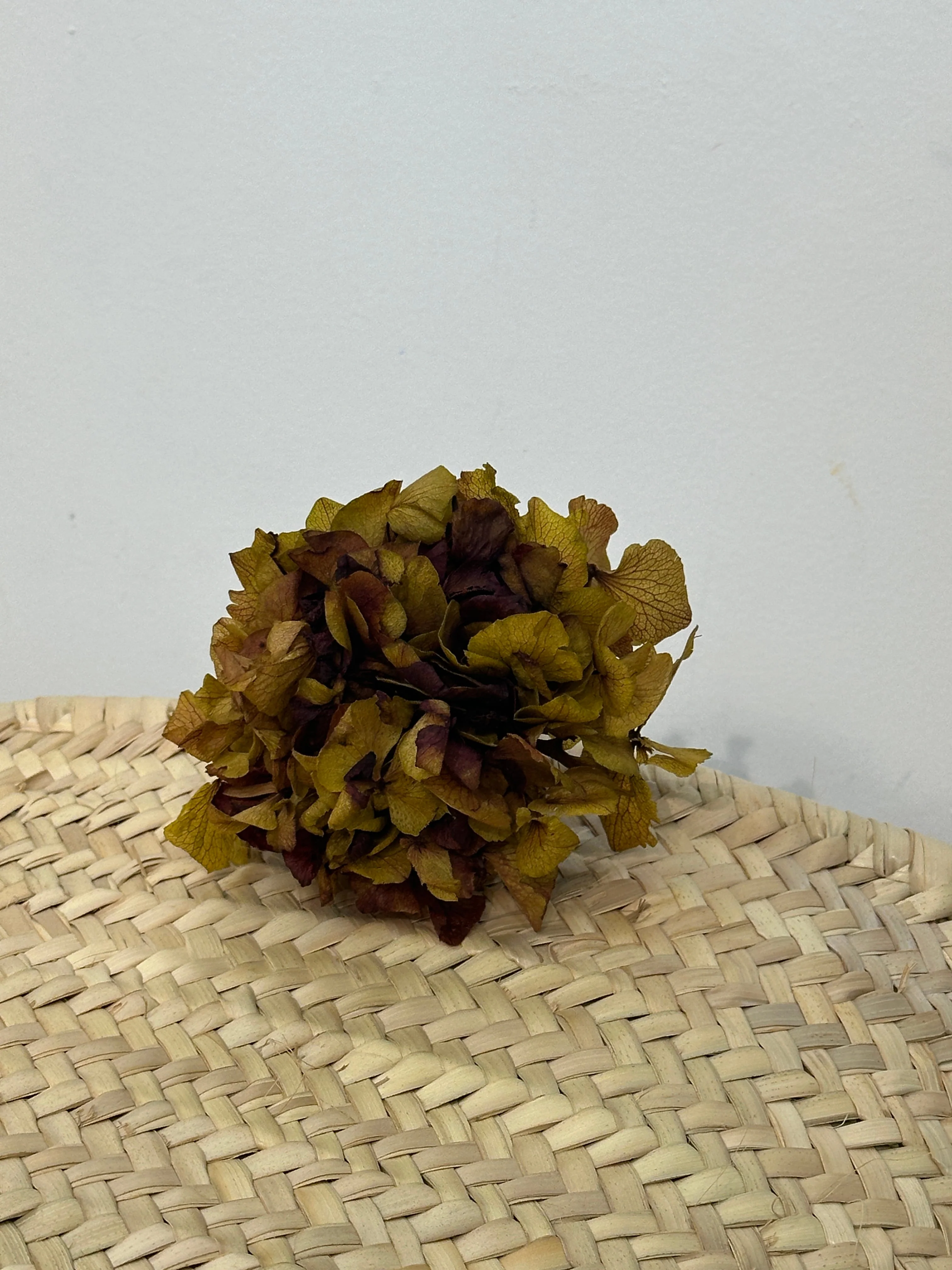 Imagen del producto 8